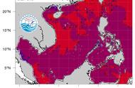 北部湾珊瑚白化危机：如何拯救我们的海洋生命？